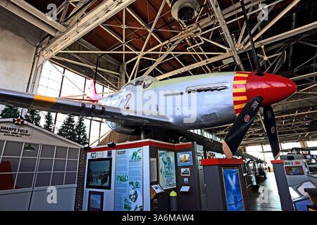P-51D réplique, American Airpower Museum, Republic Airport, Farmingdale, long Island, NY Banque D'Images