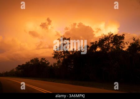 Une tempête estivale au coucher du soleil transforme les nuages en couleur orange, Everglades National Park, Floride, États-Unis Banque D'Images