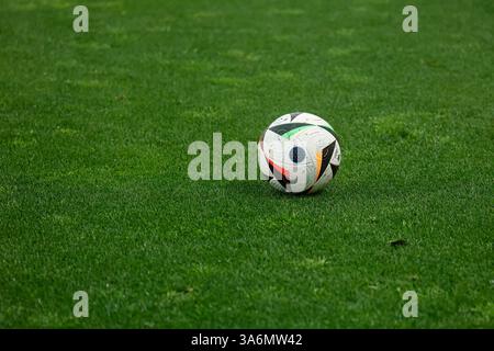 Catanzaro, Italie. 25 mars 2025. Stade Nicola Ceravolo : vue générale lors du Championnat UEFA des moins de 19 ans 2025, Elite Round, Groupe 5, match entre l'Italie et la France au stade Nicola Ceravolo, Catanzaro, Italie. Francesco Farina/SPP (FRANCESCO FARINA/SPP) crédit : SPP Sport Press photo. /Alamy Live News Banque D'Images