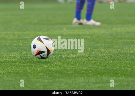 Catanzaro, Italie. 25 mars 2025. Stade Nicola Ceravolo : vue générale lors du Championnat UEFA des moins de 19 ans 2025, Elite Round, Groupe 5, match entre l'Italie et la France au stade Nicola Ceravolo, Italie. Francesco Farina/SPP (FRANCESCO FARINA/SPP) crédit : SPP Sport Press photo. /Alamy Live News Banque D'Images