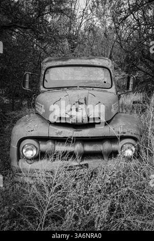 Vue de face d'une vieille camionnette garée dans les bois pour pourrir. Noir et blanc. Banque D'Images