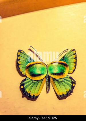Collage d'un papillon vert avec des yeux humains Banque D'Images