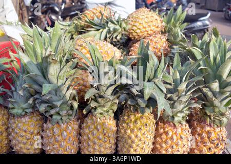 Tas de fruits frais mûrs à l'ananas tropical prêts à la vente dans un supermarché ou un marché Banque D'Images