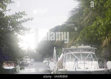 Bateaux amarrés pendant une tempête tropicale Banque D'Images