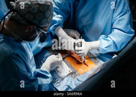 Gros plan équipe diversifiée de chirurgiens pratiquant la chirurgie sur un patient dans la salle d'opération de l'hôpital. Traitement urgent, chirurgie plastique. Banque D'Images