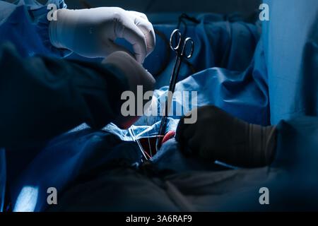 Équipe de chirurgiens expérimentés effectuant une opération cardiaque complexe avec une concentration totale dans une salle d'opération bien éclairée. La technologie en cardiologie Banque D'Images