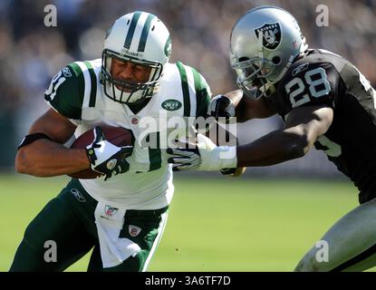19 octobre 2008 - Dustin Keller des jets de New York (81) grimace avant d'être attaqué par les Raiders d'Oakland Gibril Wilson (28) au deuxième quart-temps. Les Raiders battent les jets en prolongation, 16 à 13, au Oakland Coliseum à Oakland, Californie, le dimanche 19 octobre 2008. (Jose Carlos Fajardo/Contra Costa Times/MCT) (image crédit : © Jose Carlos Fajardo/MCT/ZUMAPRESS.com) Banque D'Images