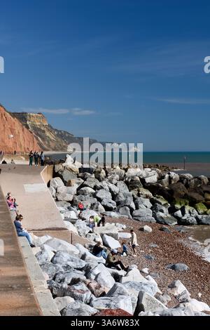 Sidmouth front de mer dans le Spring Devon Angleterre Banque D'Images