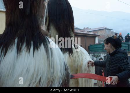 Les danseurs traditionnels Kukeri en costumes de longue fourrure exécutent une danse circulaire lors d'un rituel du village. Une femme se joint à la célébration entourée de spectateurs Banque D'Images