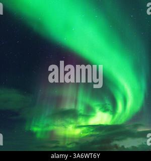 Belle Aurora Borealis sur la maison sur l'île de Kvaløya, dansant les aurores boréales avec la lumière verte, les grèves rouges et violettes, les rayons colorés clairs Banque D'Images