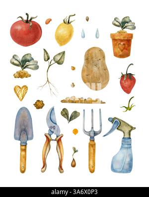 Ensemble de jardinage et de récolte d'aquarelle avec des légumes, des outils et des plantes. Comprend tomate, pomme de terre, arrosoir, pelle, fourchette, germe et feuilles Banque D'Images