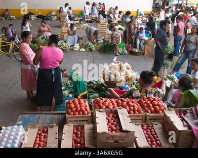 29 juillet 2004 ; Tapachula, Chiapas, MEXIQUE ; produits à vendre à Mercado San Juan à Tapachula, Chiapas, Mexique. Les marchés mexicains sont le centre de la vie quotidienne, en particulier dans les petites villes. Dans un pays où beaucoup de gens n'ont pas de réfrigérateurs, les gens viennent au marché presque tous les jours pour acheter des aliments frais, et pendant qu'ils sont là, ils s'occupent des tâches comme les coupes de cheveux et les petits articles ménagers. Certains achètent même leurs vêtements au marché. La plupart des stands de marché sont loués par des femmes ou des familles et il y a très peu de présence d'entreprises sur le marché, contrairement aux centres commerciaux aux États-Unis. Banque D'Images