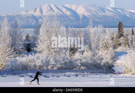 4 janvier 2009 - Un skieur glisse sur la neige damée dans le stade du parc Kincaid à Anchorage, Alaska, le dimanche 4 janvier 2009, le deuxième jour consécutif où les championnats de ski de fond des États-Unis sprint courses classiques n'ont pas eu lieu en raison du temps froid. (Bill Roth/Anchorage Daily News/MCT) (crédit image : © Bill Roth/MCT/ZUMAPRESS.com) Banque D'Images