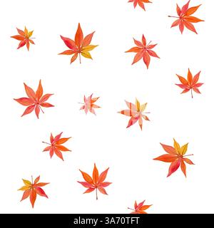 Modèle sans couture avec différentes feuilles d'érable rouge et jaune illustration d'aquarelle dessinée à la main sur fond blanc. Pour papier d'emballage, textile, wallp Banque D'Images