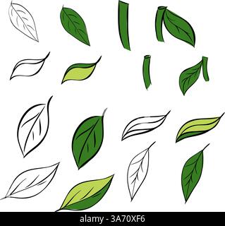 Vector designer Elements Set collection d'herbes de feuilles vertes dans le style graphique d'encre de ligne. Beauté décorative illustration élégante pour la conception Illustration de Vecteur
