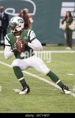 9 novembre 2014 : le quarterback Michael Vick (1) des jets de New York en action lors du match NFL entre les Steelers de Pittsburgh et les jets de New York au MetLife Stadium à East Rutherford, New Jersey. Les jets de New York ont gagné 20-13.(image crédit : © Chris Szagola/Cal Sport Media/ZUMAPRESS.com) Banque D'Images