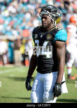 19 octobre 2014 - Jacksonville, FL, U. S : Jacksonville Jaguars Running Back Storm Johnson (34) lors de la seconde mi-temps de match NFL entre les Browns de Cleveland et les Jaguars de Jacksonville. Jacksonville a battu Cleveland 24-9 à EverBank Field à Jacksonville, FL(crédit image : © Romeo Guzman/Cal Sport Media/ZUMAPRESS.com) Banque D'Images