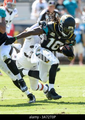 19 octobre 2014 - Jacksonville, FL, U. S : Jacksonville Jaguars Running back Denard Robinson (16 ans) lors de la première mi-temps de match de la NFL entre les Browns de Cleveland et les Jaguars de Jacksonville à EverBank Field à Jacksonville, FL(crédit image : © Romeo Guzman/Cal Sport Media/ZUMAPRESS.com) Banque D'Images