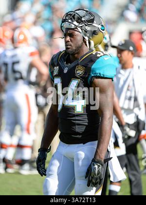 19 octobre 2014 - Jacksonville, FL, U. S : Jacksonville Jaguars Running Back Storm Johnson (34) lors de la seconde mi-temps de match NFL entre les Browns de Cleveland et les Jaguars de Jacksonville. Jacksonville a battu Cleveland 24-9 à EverBank Field à Jacksonville, FL(crédit image : © Romeo Guzman/Cal Sport Media/ZUMAPRESS.com) Banque D'Images