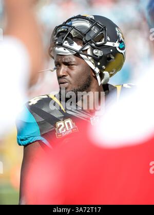 19 octobre 2014 - Jacksonville, FL, U. S : Jacksonville Jaguars Running Back Storm Johnson (34) lors de la seconde mi-temps de match NFL entre les Browns de Cleveland et les Jaguars de Jacksonville. Jacksonville a battu Cleveland 24-9 à EverBank Field à Jacksonville, FL(crédit image : © Romeo Guzman/Cal Sport Media/ZUMAPRESS.com) Banque D'Images