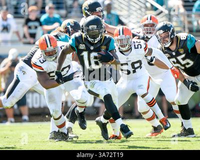 19 octobre 2014 - Jacksonville, FL, U. S : Jacksonville Jaguars Running back Denard Robinson (16 ans) lors de la première mi-temps de match de la NFL entre les Browns de Cleveland et les Jaguars de Jacksonville à EverBank Field à Jacksonville, FL(crédit image : © Romeo Guzman/Cal Sport Media/ZUMAPRESS.com) Banque D'Images