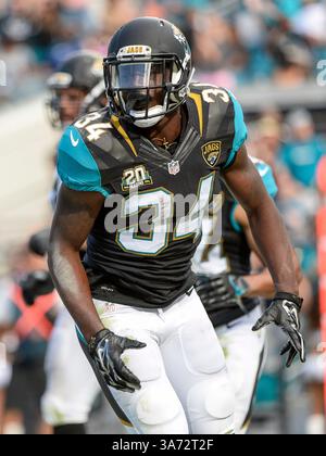 19 octobre 2014 - Jacksonville, FL, U. S : Jacksonville Jaguars Running Back Storm Johnson (34) lors de la seconde mi-temps de match NFL entre les Browns de Cleveland et les Jaguars de Jacksonville. Jacksonville a battu Cleveland 24-9 à EverBank Field à Jacksonville, FL(crédit image : © Romeo Guzman/Cal Sport Media/ZUMAPRESS.com) Banque D'Images
