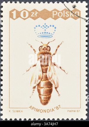 Timbre-poste oblitéré imprimé par les pays-Bas, qui montre Globe avec cornes postales, 75ème anniversaire de l'Union postale universelle (U.P.U.), vers 1949. Banque D'Images