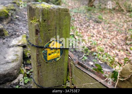 Flèche de sentier public jaune portée sur un poteau de clôture Banque D'Images