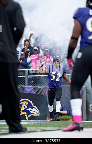 14 octobre 2012 - Baltimore, Maryland, U. Ray Lewis (52), linebacker des Baltimore Ravens les Baltimore Ravens affrontent les Dallas Cowboys au M&T Bank Stadium de Baltimore, Maryland. (Crédit image : © Ryan Lasek/ZUMAPRESS.com) Banque D'Images