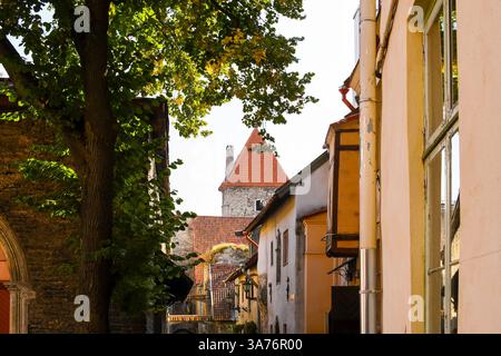 L'architecture médiévale de Katariina käik, ou passage de Catherine avec une tour de muraille derrière dans la vieille ville médiévale de Tallinn, Estonie. Banque D'Images