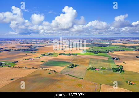 Vue aérienne sur les champs de blé agricole, les prairies, les terres agricoles et les fermes dans le comté de Skåne län / Scania, province la plus méridionale de la Suède, Scandinavie Banque D'Images