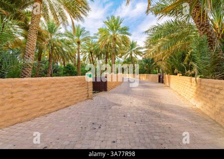 Sentiers pédestres entourés d'une canopée de palmiers dattiers sur le terrain de l'oasis historique d'Al Ain, un site culturel de l'UNESCO à Al Ain, Émirats arabes Unis. Banque D'Images