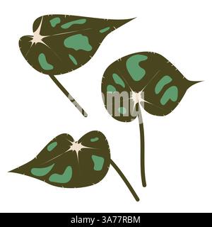 Ensemble de trois pattes de tigre tropicales stylisées Begonia. Feuilles exotiques dessinées à la main. Illustration vectorielle isolée sur fond blanc pour les impressions Illustration de Vecteur