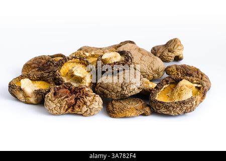 Cette vue détaillée de champignons shiitake séchés sur blanc met en valeur leurs textures robustes et leurs tons chauds et terreux, reflétant la beauté authentique de th Banque D'Images