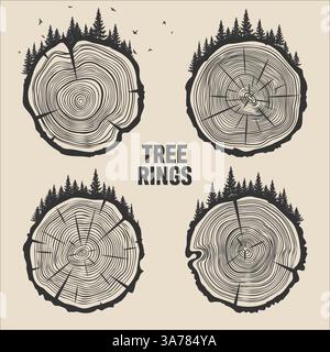 Tronc d'arbre rond coupé avec des arbres, de la forêt et des oiseaux. Tranches de pin scié ou de chêne, bois d'œuvre. Scier bois coupé, bois. Texture en bois brun avec anneaux d'arbre. Main Illustration de Vecteur