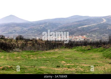 Village Kirki Evros Grèce se rétablissant après un incendie de forêt massif, la restauration des forêts et des montagnes, une catastrophe environnementale. Banque D'Images