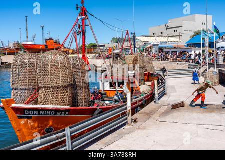 Les travailleurs déchargent des caisses de poisson au port de Mar Del Plata, province de Buenos Aires, Argentine. Banque D'Images