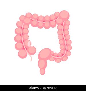 Illustration rose stylisée du gros intestin humain sur fond blanc. Illustration de Vecteur