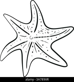 Illustration vectorielle d'esquisse d'étoile de mer. Couleur Starfish contour noir et blanc pour les enfants et les adultes. Illustration vectorielle. Page relaxation Illustration de Vecteur