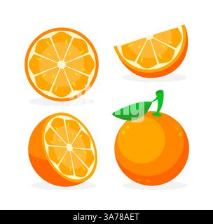 Collection d'oranges fraîches. Fruit orange isolé sur fond blanc. Illustration vectorielle Illustration de Vecteur