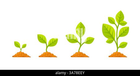 L'arbre pousse avec la feuille verte. Phases de croissance des plantes. Étapes augmentation du financement dans l'entrepreneuriat. Illustration de Vecteur