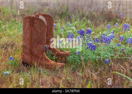Paire de bottes de cow-boy dans un champ avec quelques bluebonnets dans le Texas Hill Country Banque D'Images