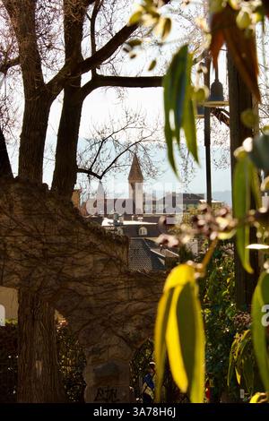 Charmante vue sur la vieille ville encadrée par une arche et un feuillage couverts d'ivoire Banque D'Images