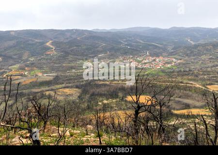 Village Kirki Evros Grèce se rétablissant après un incendie de forêt massif, la restauration des forêts et des montagnes, une catastrophe environnementale. Banque D'Images