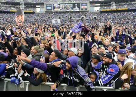 05 FÉVRIER 2013 : des foules massives de fans des Ravens crient devant la caméra de télévision pendant le défilé du Super Bowl XLVII des Ravens de Baltimore au M&T Bank Stadium de Baltimore, Maryland. (Crédit image : © John Middlebrook/Cal Sport Media/ZUMAPRESS.com) Banque D'Images