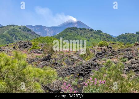 Le volcan Etna fumant sur le fond, province de Catane, Sicile, Italie Banque D'Images