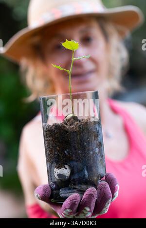 Jardinier portant des gants et un chapeau tenant un pot en verre avec un petit germe de chêne houx poussant dedans Banque D'Images
