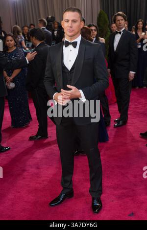 24 février 2013 - Hollywood, Californie, États-Unis - CHANNING TATUM arrive pour les Oscars au Dolby Theatre. (Crédit image : © AMPAS/ZUMAPRESS.com) Banque D'Images