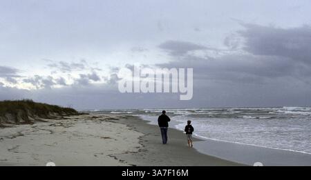 26 octobre 2012 - Garden City, SC, États-Unis - L'ouragan Sandy reste au large, vu d'un point d'accès à la plage à l'extrémité nord de Pawleys Island, Caroline du Sud, samedi 27 octobre 2012. (Crédit image : © Steve Jessmore/MCT/ZUMAPRESS.com) Banque D'Images