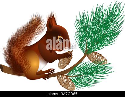 Écureuil sur une branche de pin avec des cônes en hiver. Illustration de Vecteur